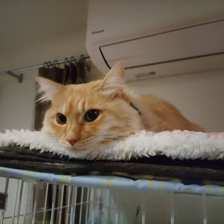 07ec8824 32d4 410b a5f8 a6bc1413a659 1702299430391