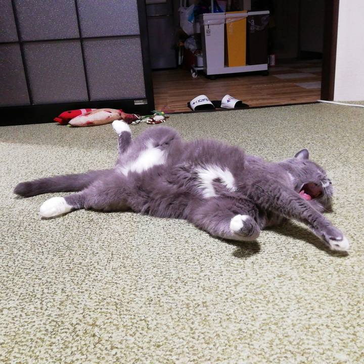 07ec8bda c1a2 4ec8 a740 c6706c25d0b1 1693995872896