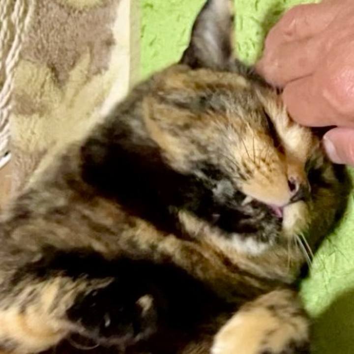 07ecbec6 bd2f 4ca5 abc7 7c79ca8b17fe 1739732594017