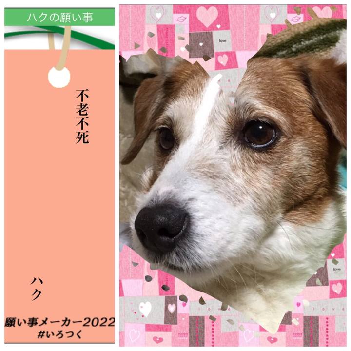 07eccd40 a1b5 4790 b8b7 d6b19b62eea2 1657155638710