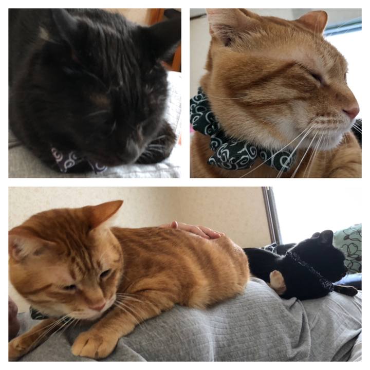 07ecd476 b65e 4925 97f2 9875833ad737 1575758111997