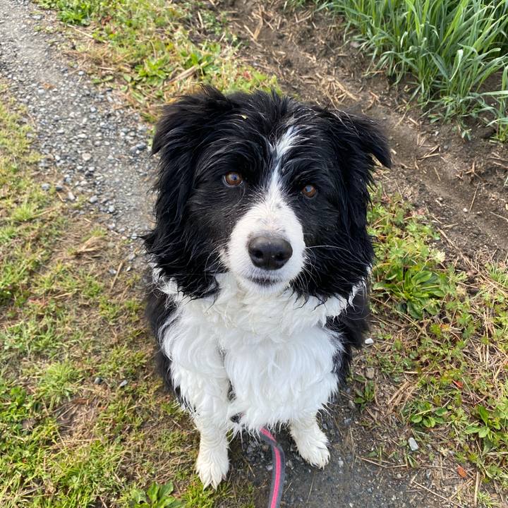 07ece706 7083 4c11 b53b 9aa2123f821f 1648080366357