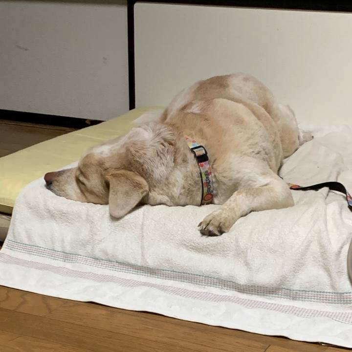 07ed1fd0 c5a2 4256 964c 8d1a9ce4aaf2 1548506501650