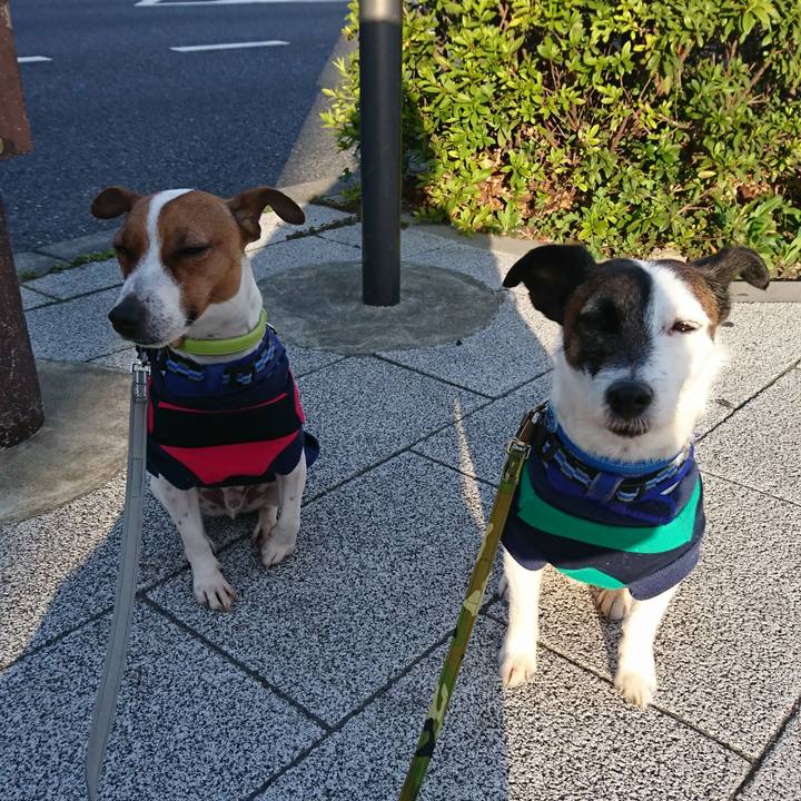 07ed334b f0bd 4700 a4c6 a53c6b22f6ce 1553033228882