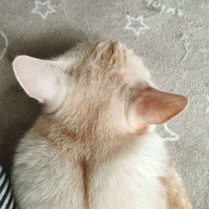 07ed5168 0eeb 48f2 9fdb 9ac167bac6be 1665887722712