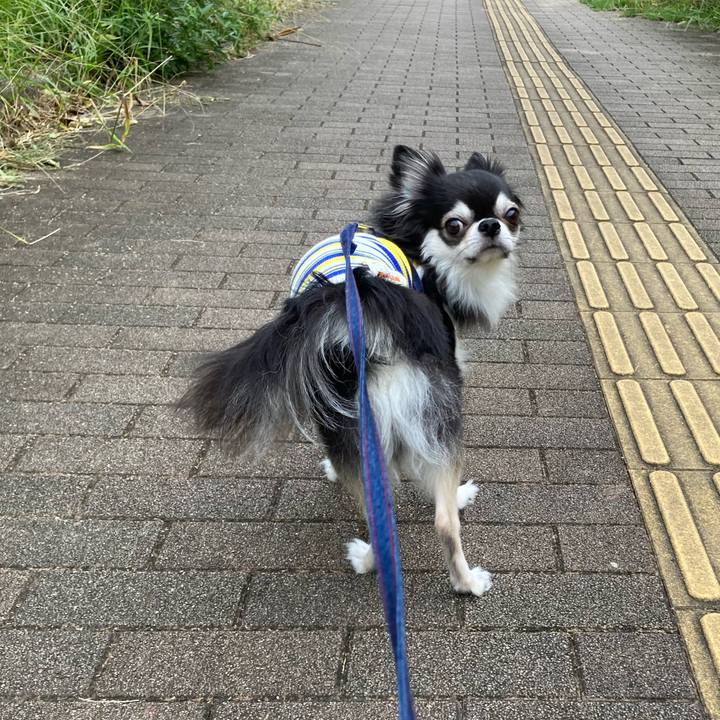 07ed5d43 242b 44de 8503 03d17bfddd98 1696776936572