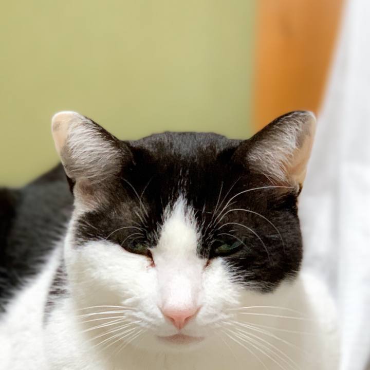 07ed809d 5d24 4e42 a290 cd5b4be52c92 1588988155570