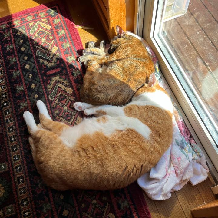 07edb96e 682d 4085 8980 92352507af75 1760152156237