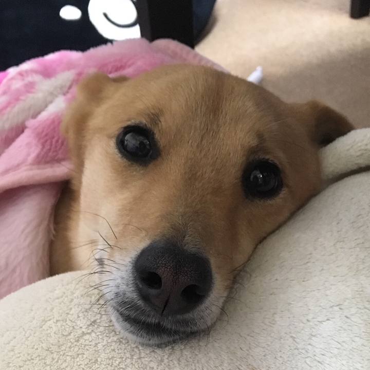 07ee0c9f 2a62 4b51 8e96 dc891e818dab 1517066822401