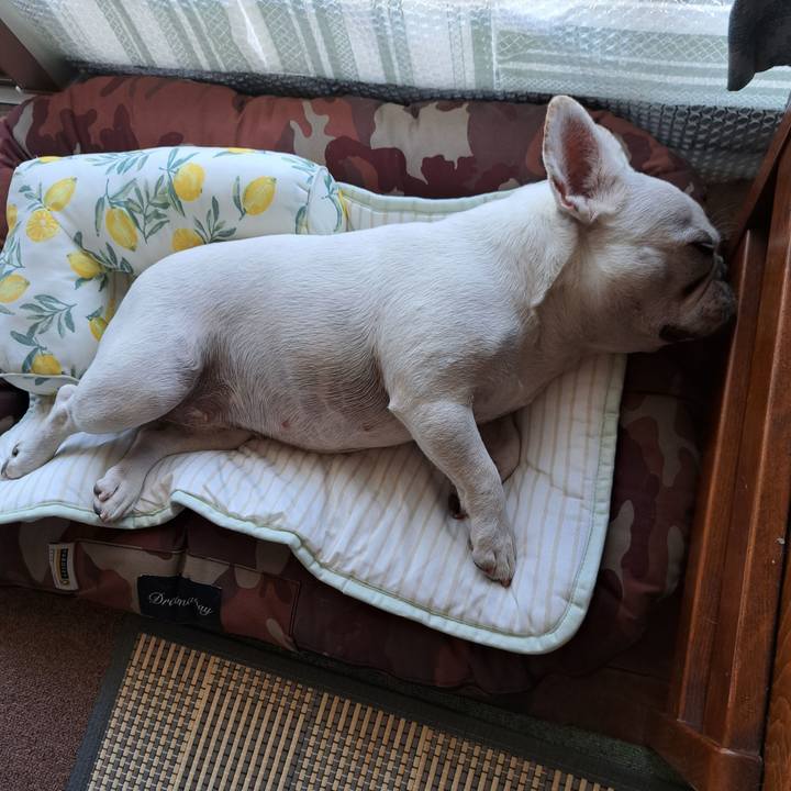 07ee25d3 ec93 4d9d 8070 69c4da2d1daf 1691116042160