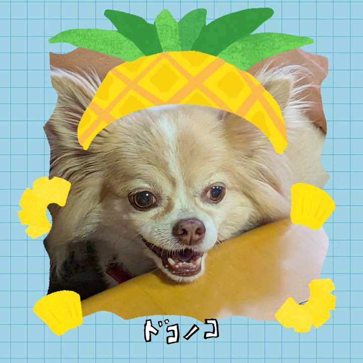 07ee443d da5e 463a afaf 8667b39a7f4c 1783481445988