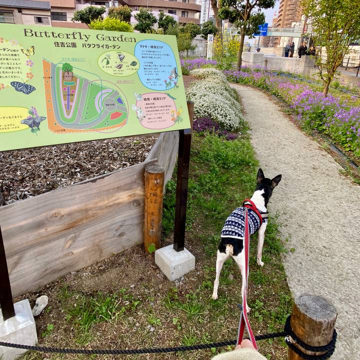 07ee55f4 a858 49b9 a36c 36168b31857e 1587094381506