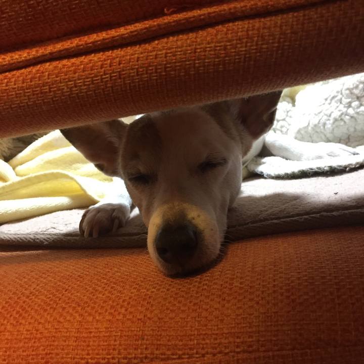 07ee78f9 43d1 4223 a4d6 755e511faa5b 1547359535473