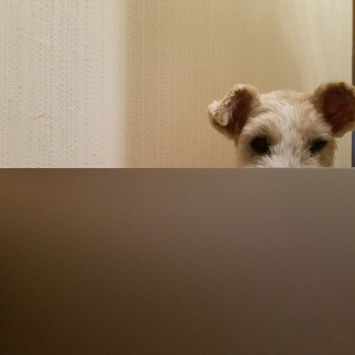 07ee98c3 0e8b 4faf a7d1 bc3901bc0ba0 1536847301889