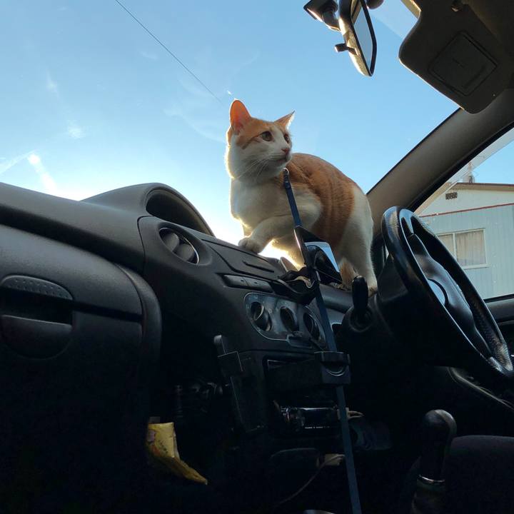 07eec2fa e321 49c8 8b42 e14e0d54294e 1542962537655