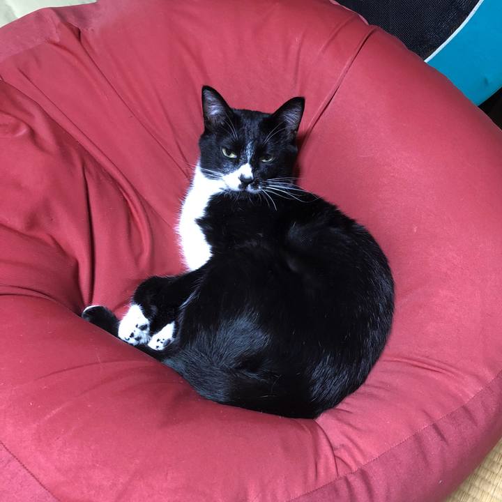 07eec83f ae31 4f06 8e38 d10f7e79a3d8 1538538804641