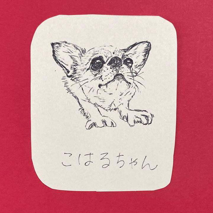 07eeedd8 0e41 4cdc ae12 1ff038aa5180 1618804934444