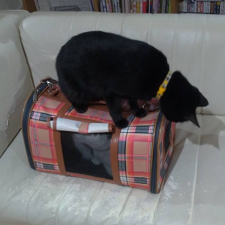 07eefce0 6ce8 49df 9e19 a0e5133a8b86 1620808866388