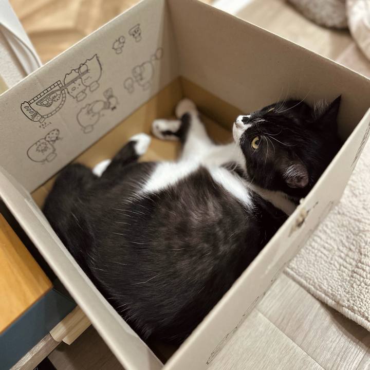 07eefd48 3529 4ec4 a22c 46aa447666b5 1762869393087