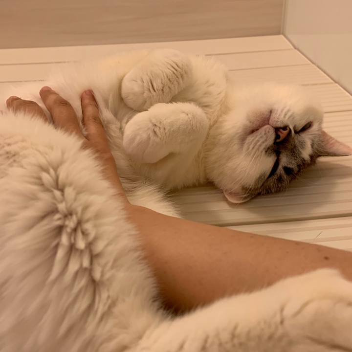 07ef21f0 f560 4106 a10c f1c745a60acb 1555161823599