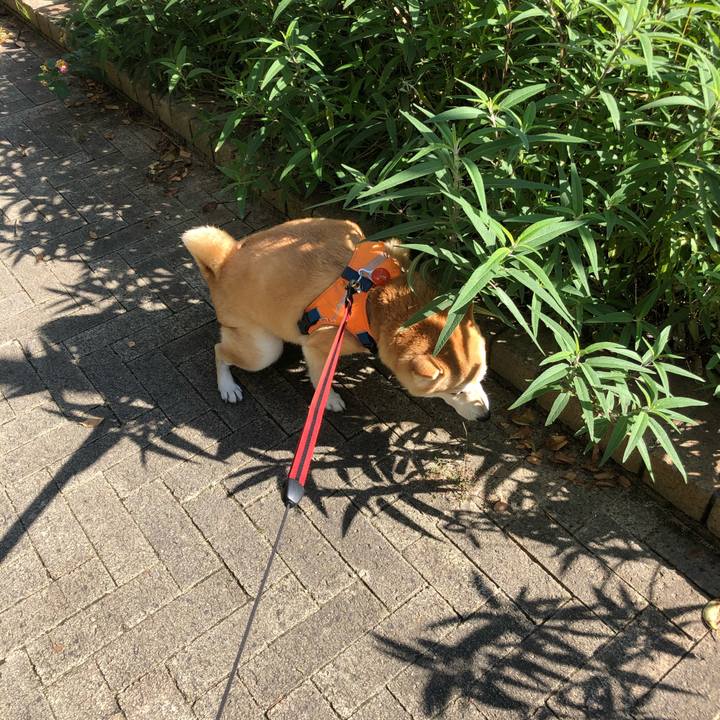 07ef2b05 6d1d 414f 8028 b4ed735540f2 1603773680471