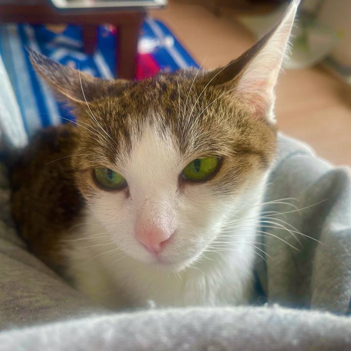 07ef3e00 d3ed 4fc4 a189 be3b84eecdbc 1636679429827