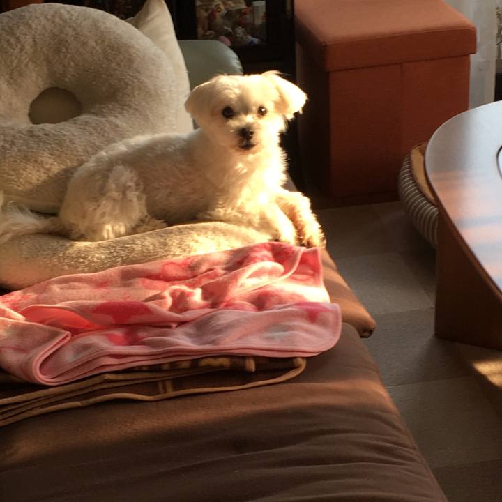 07ef62e6 117c 455a b053 ceec8bdaf987 1588145621981