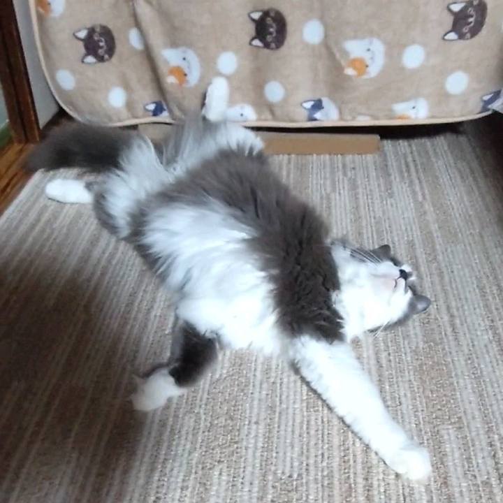 07ef6e8f b125 4be1 8a2f 76cc5a15a316 1662524828745