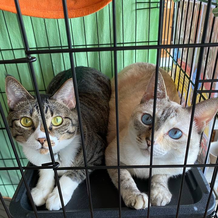 07ef6f1e a0c7 4a4b b335 14009da8c8ea 1724288478170