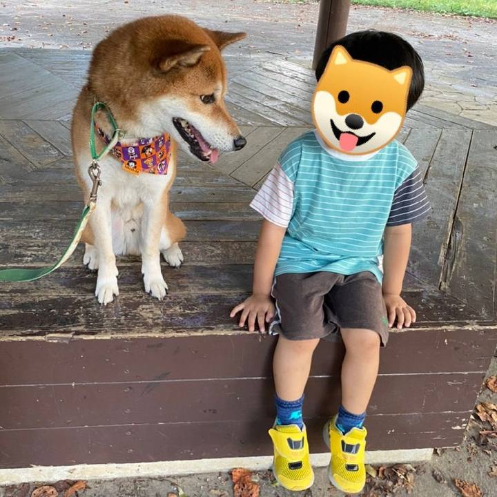 07ef952c 22e1 4d97 997b ed8ff3f49c01 1634448449325