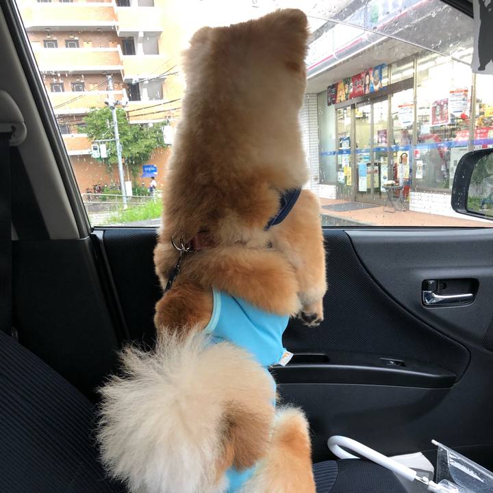 07efcce2 2502 4a8e 84b8 e70795fd8d9d 1593786785224