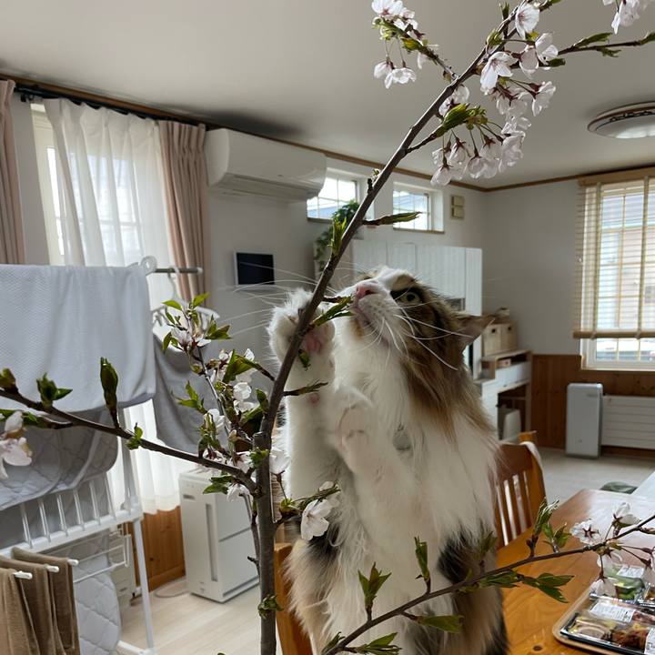 07f012ad 00b8 48c9 87df 49be0e14fc43 1682231763626