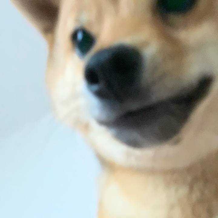 07f01364 ce1a 4b23 9981 cf0f176796e8 1554503774421