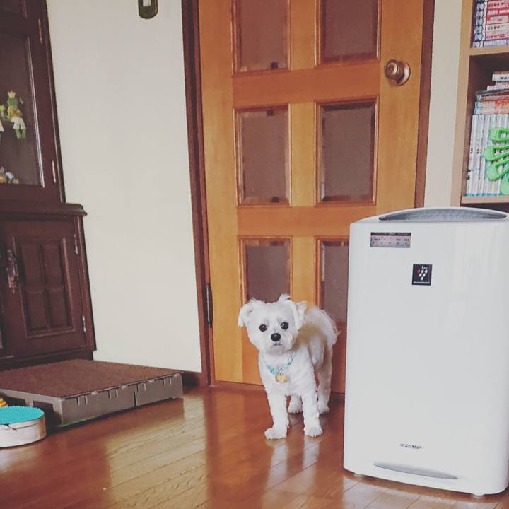 07f01872 f952 4ffd 905f 7b38e5097f0d 1559179504273