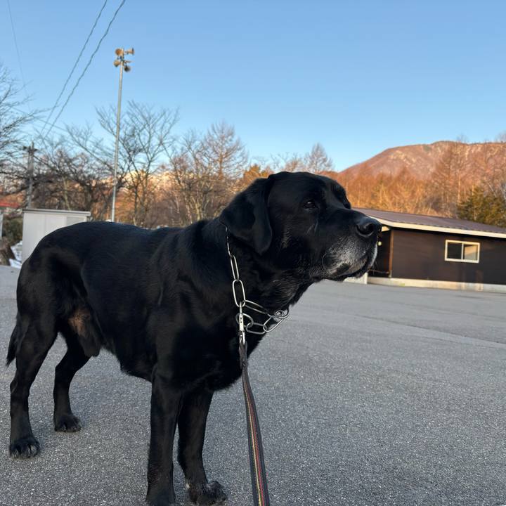 07f01a8d f510 47ba b843 fbbea23def7b 1774183578418