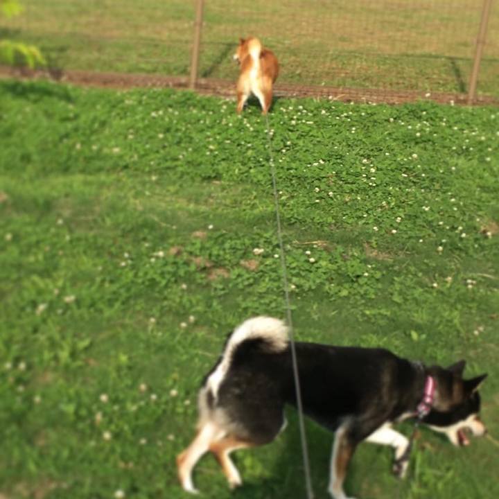 07f02b0b 549a 4e80 bc50 107066d3d937 1593400592377