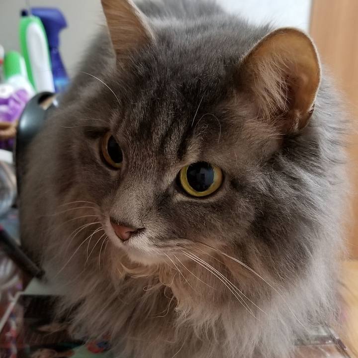 07f05120 6782 443f 98bd 76bf4bd72975 1554896967923