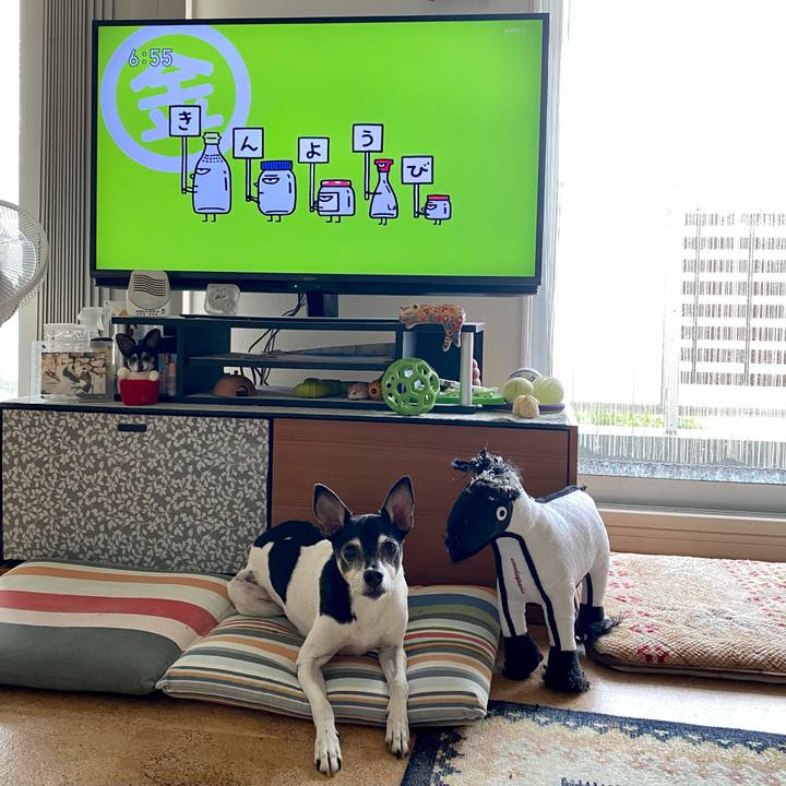 07f05e29 a99f 42dc b2a2 09f6a02e4309 1623362271489