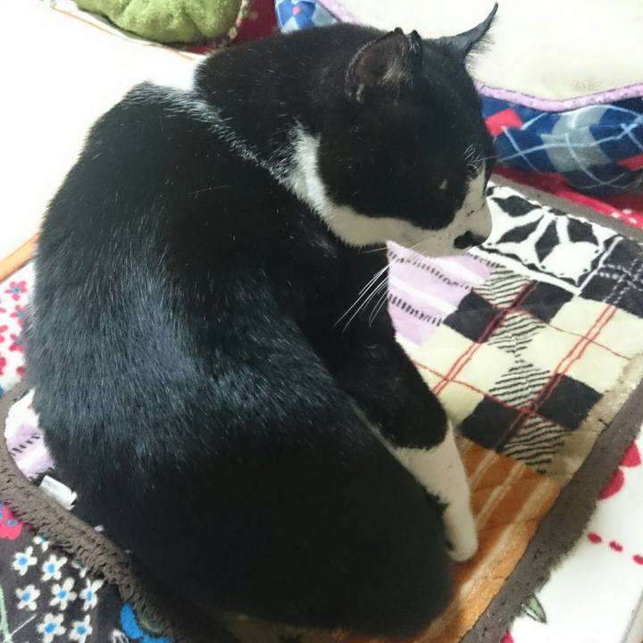 07f075bf ee76 404a bd17 c7353153d621 1512389385455