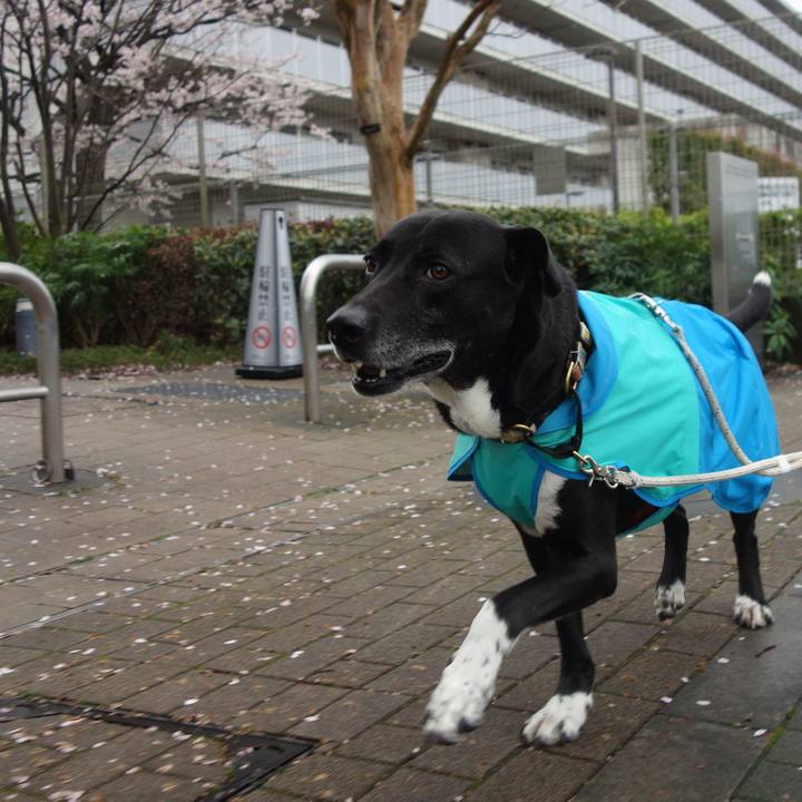 07f0964f 893f 4f2a 83e4 2b6e3e33615f 1679964585749