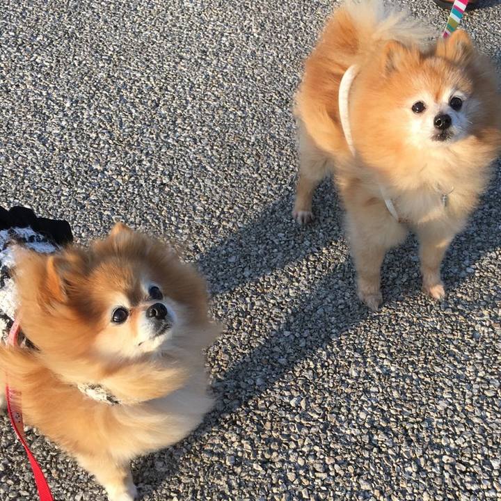 07f0c585 7a44 476c acd5 6ebd77f505ad 1554373397663