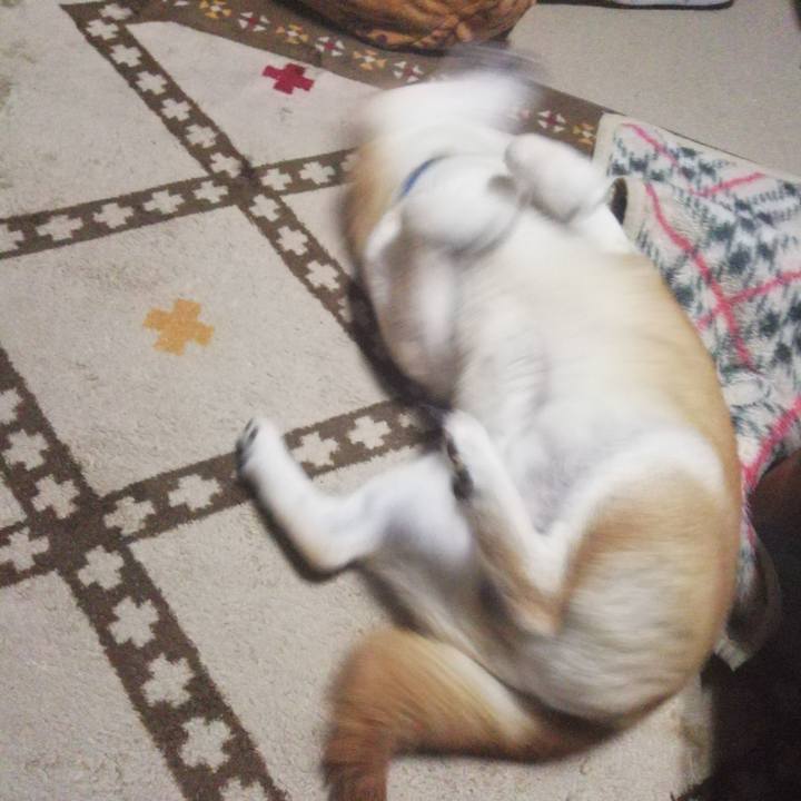 07f0cc62 2186 4791 8079 1ca26d090537 1587025468115