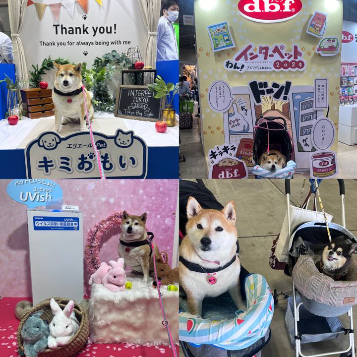 07f1443a 3994 4839 92bf 9af898ce92e3 1712493262698