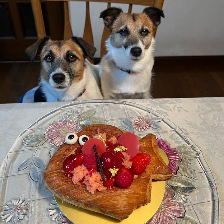 07f167c8 2fc4 4549 8dd5 3030e82cc91c 1680340283117