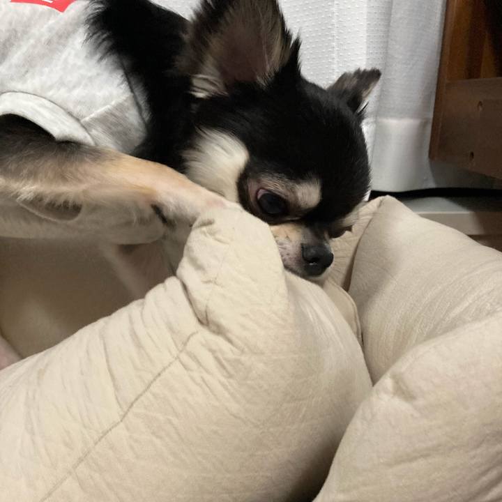 07f18cd7 8145 4d83 aed8 c1947b6ad562 1618666687310