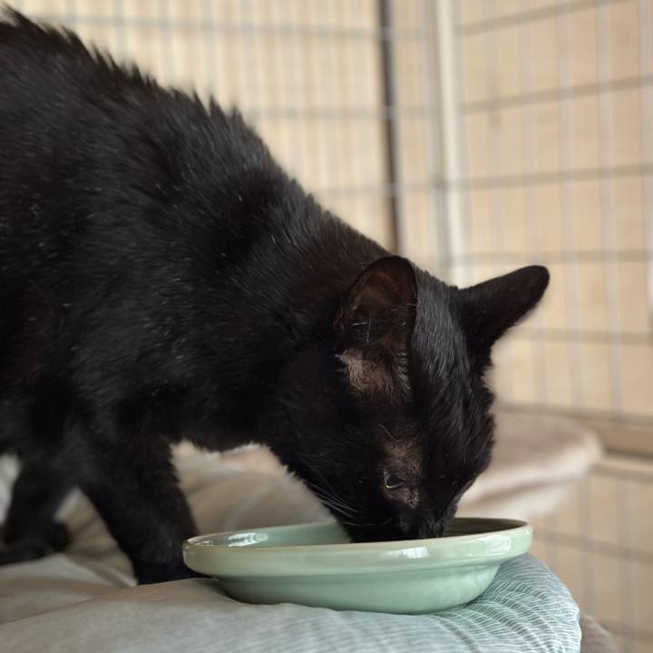 07f194a1 38c5 40d1 b726 b8b60ff1b571 1694826960498