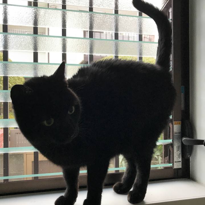 07f196c5 2bbb 475f a86c 487754b8c760 1515718904908