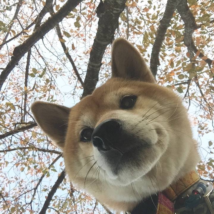 07f291b0 8645 4cb1 84ce 361743827514 1509871036452