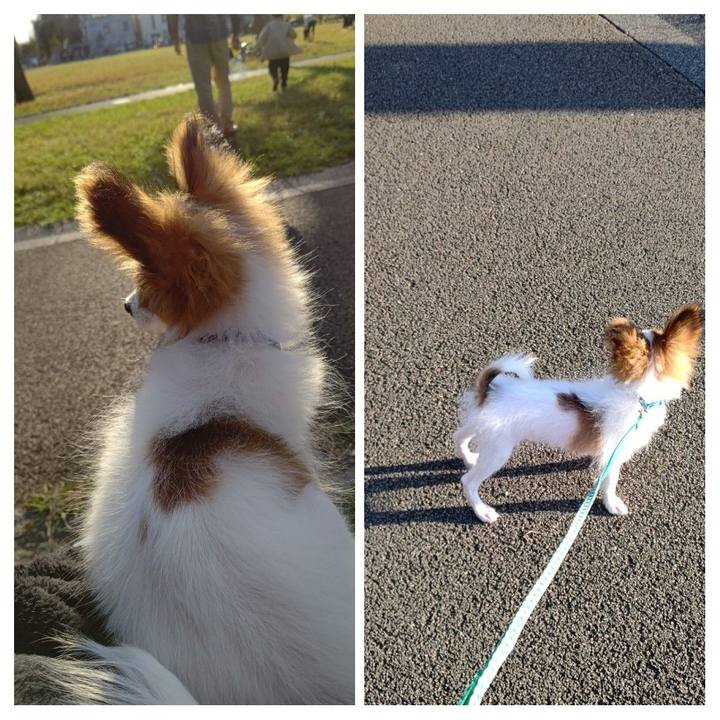 07f2997d 9626 443e a7e5 a2daccea73cd 1603526181542