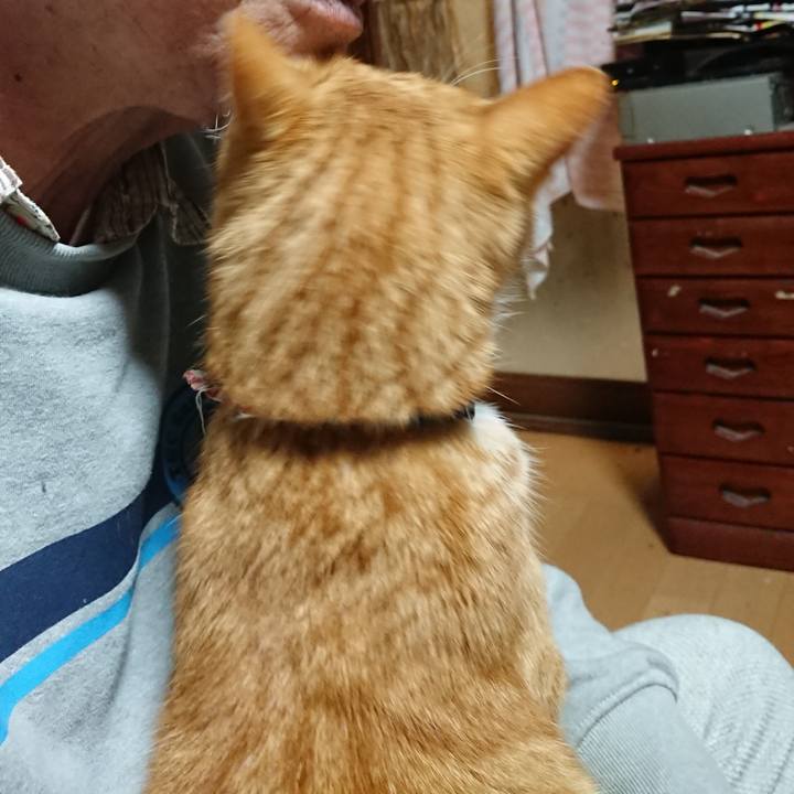 07f2b8e7 dde4 4fa2 b9ce 00ec8494d13b 1606940513078